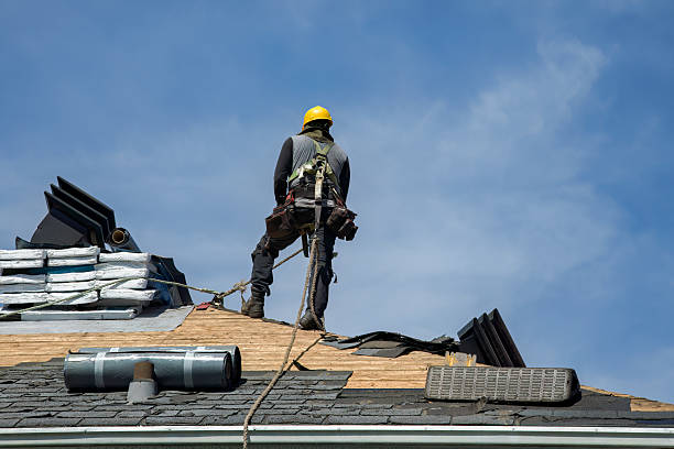 Professional Roofing technician working in New Bedford, IL
